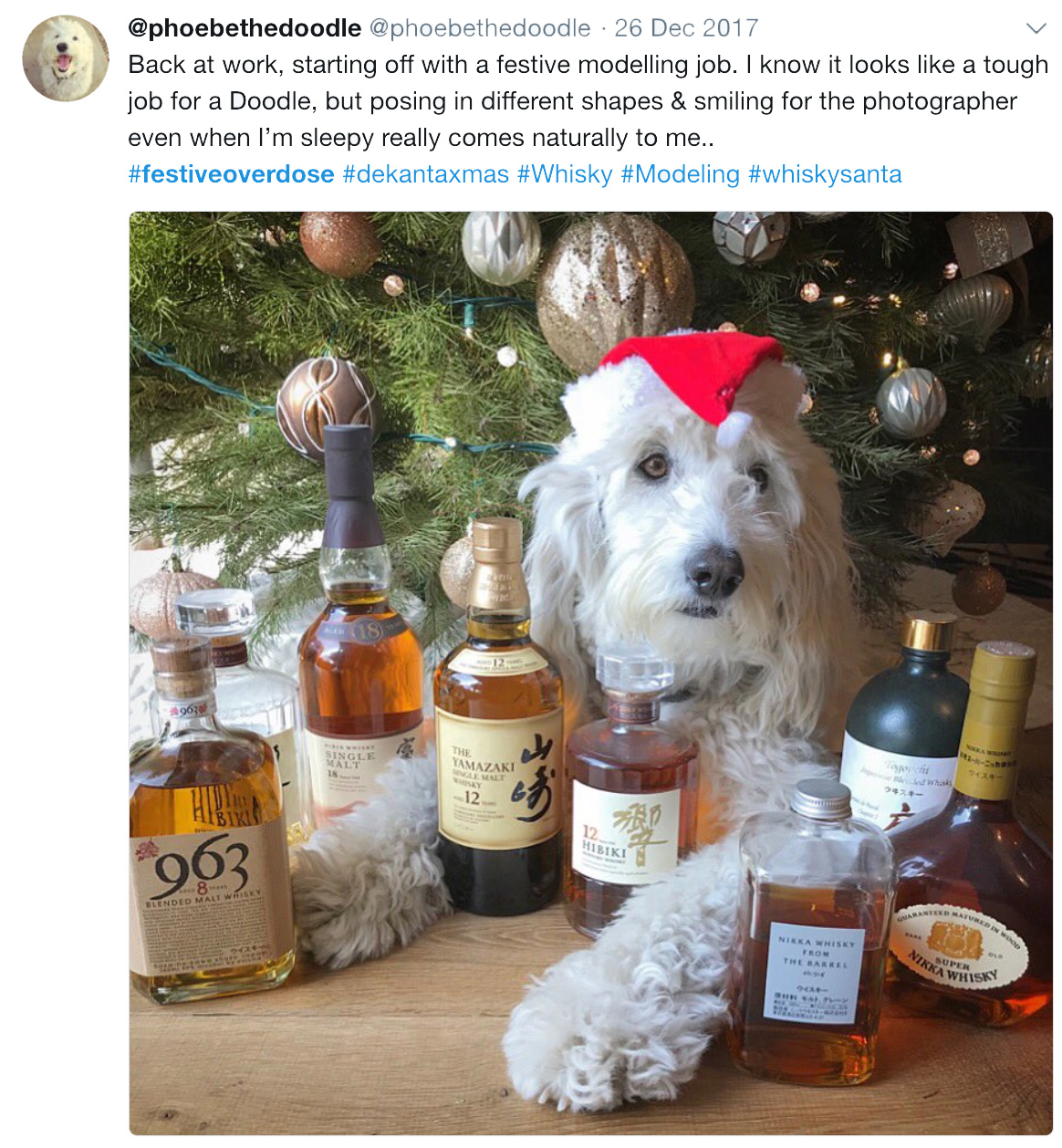 Festive Overdose Winner Announcement